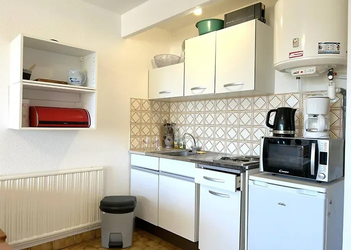 4 Couchages Avec Terrasse à Bormes-les-mimosas - Fr-1-251-130 *